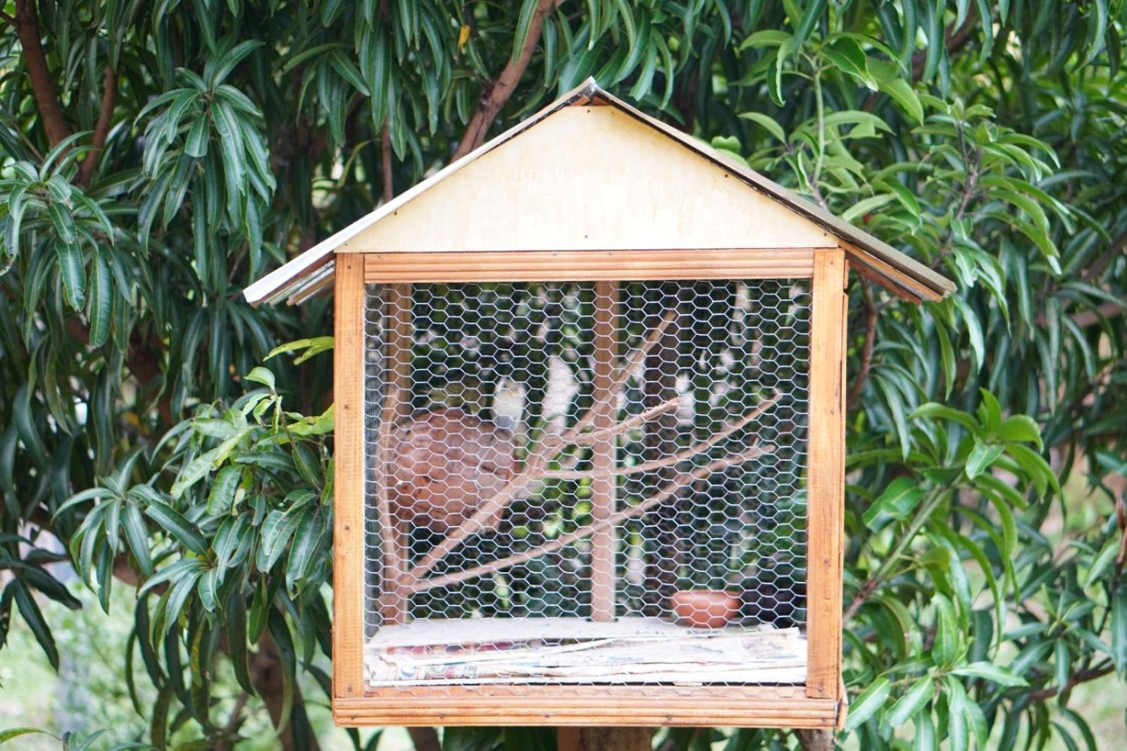 מלון אודוואלאווה Coconut Tree House מראה חיצוני תמונה