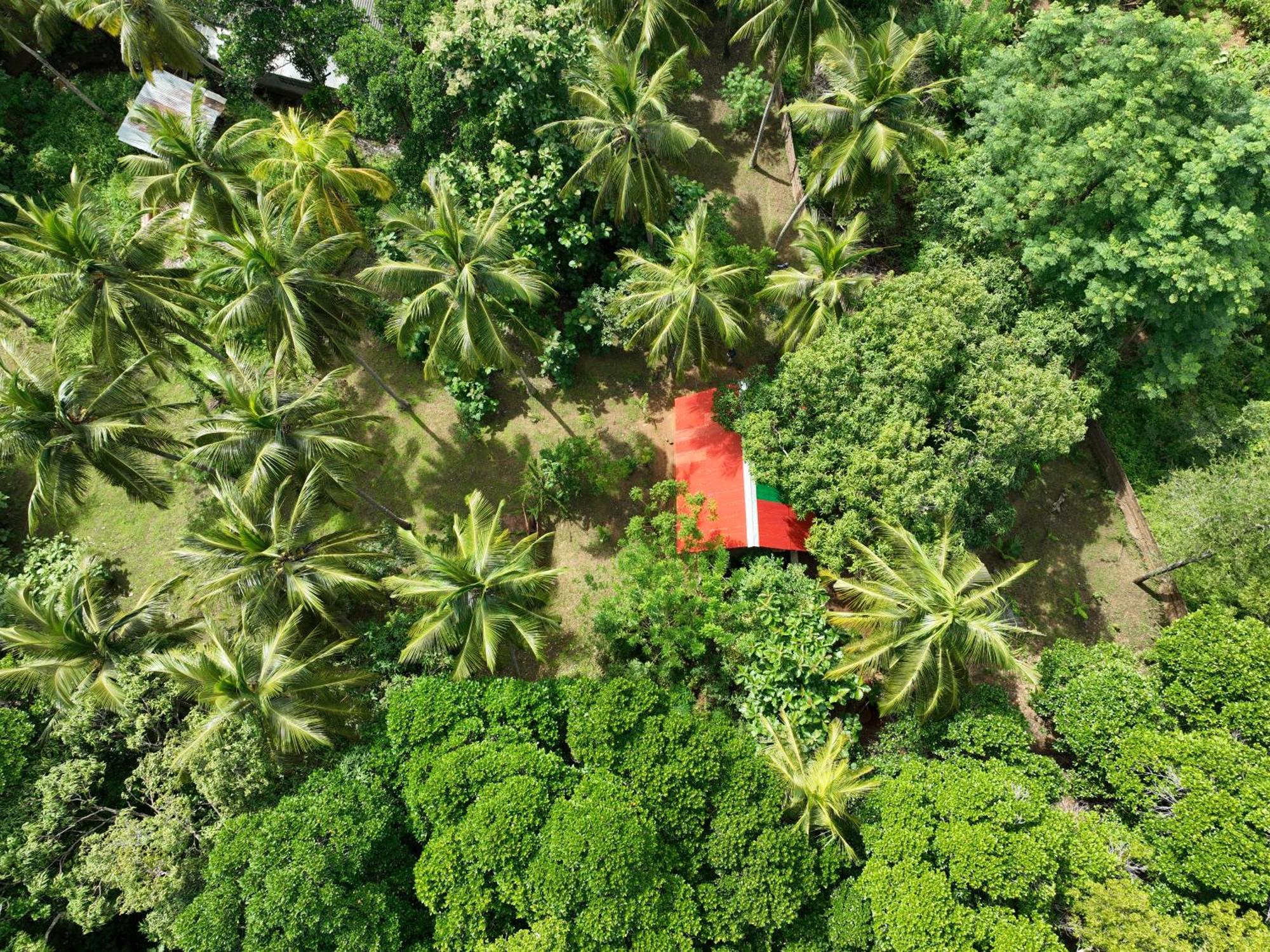 מלון אודוואלאווה Coconut Tree House מראה חיצוני תמונה