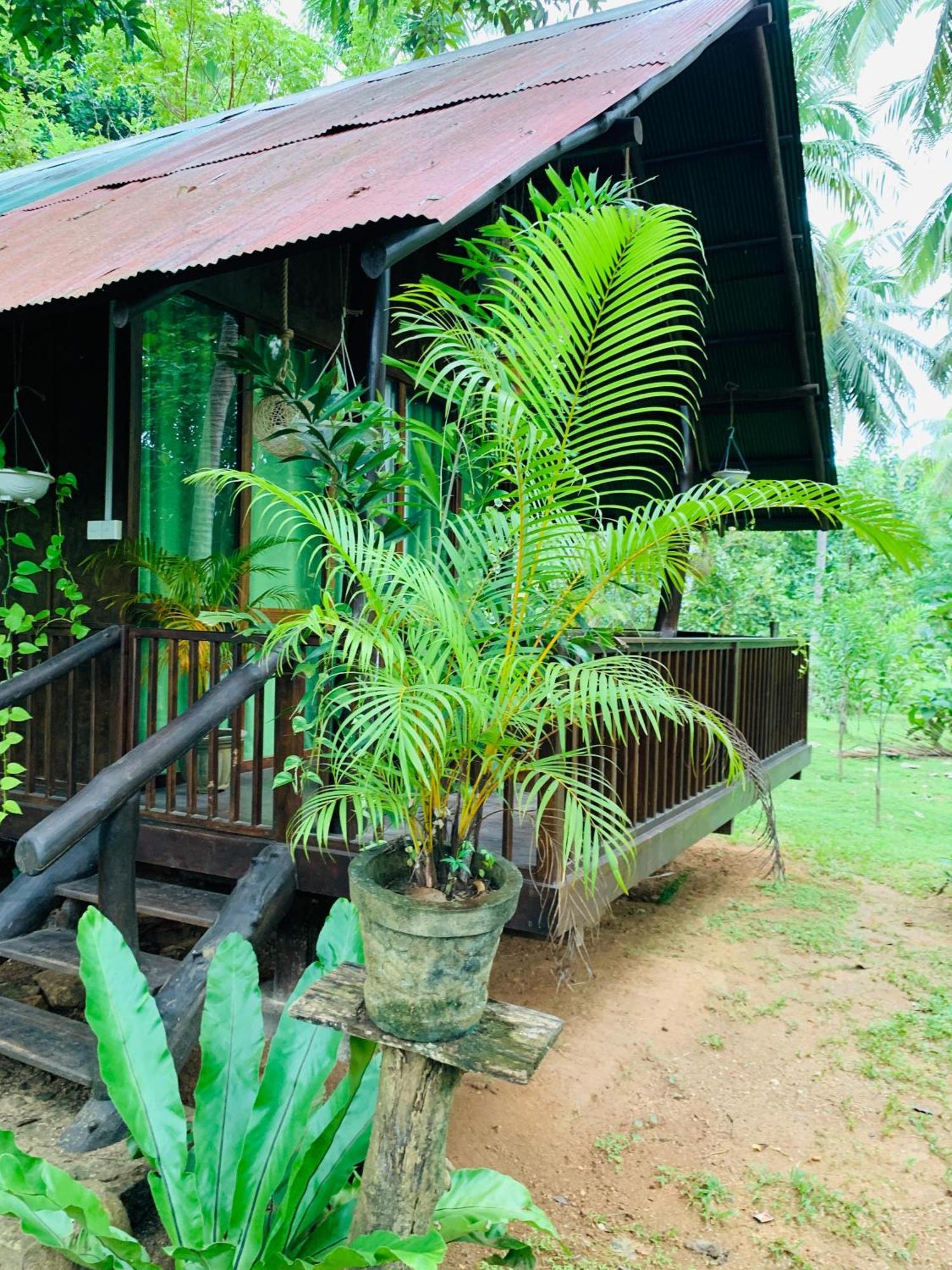 מלון אודוואלאווה Coconut Tree House מראה חיצוני תמונה